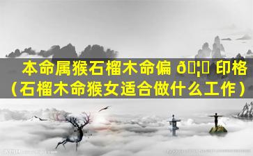 本命属猴石榴木命偏 🦍 印格（石榴木命猴女适合做什么工作）